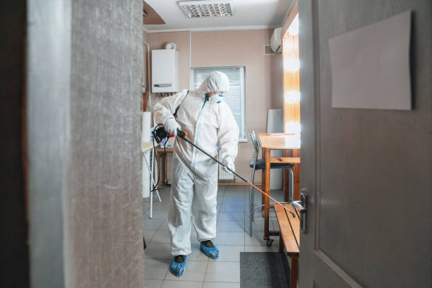 Mold Odor Removal Services in Wilber, NE